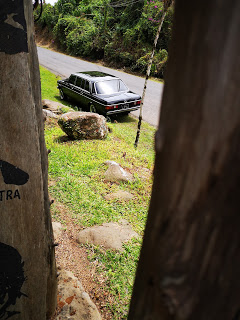 COSTA-RICA-COUNTRY-LIMOUSINE.-300D-MERCEDES-W123-TOURS.jpg