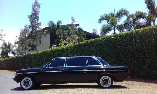 COSTA RICA IVY WALL MANSION LIMOUSINE